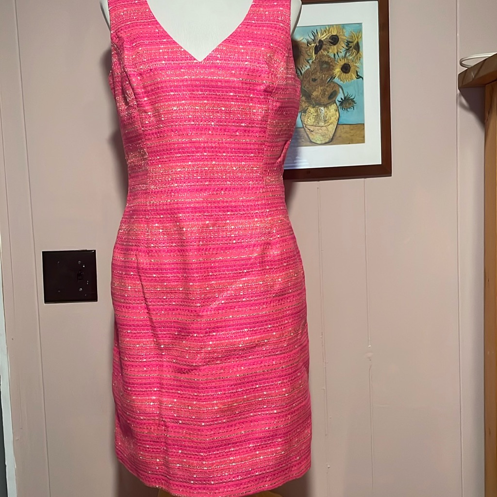 Lilly Pulitzer Size 12 Laidley Dress Neon Pink